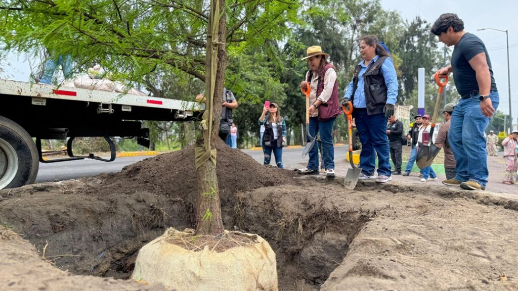 Siembran más de 3 mil árboles en jornada de reforestación en Tláhuac